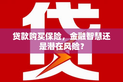 新店贷款购买保险，金融智慧还是潜在风险？