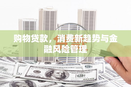 新店购物贷款，消费新趋势与金融风险管理