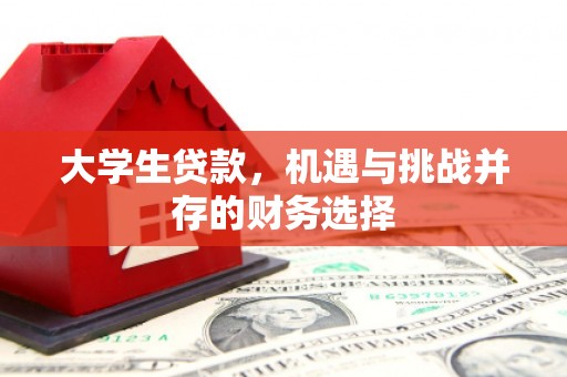 新店大学生贷款，机遇与挑战并存的财务选择