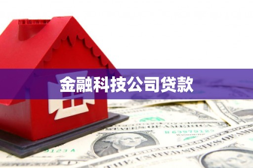 新店金融科技公司贷款