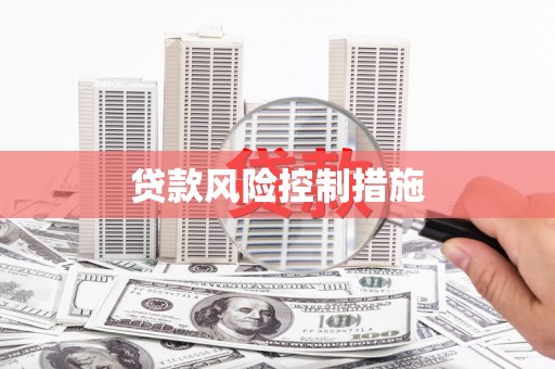 新店贷款风险控制措施