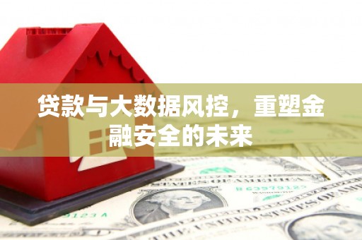 新店贷款与大数据风控，重塑金融安全的未来
