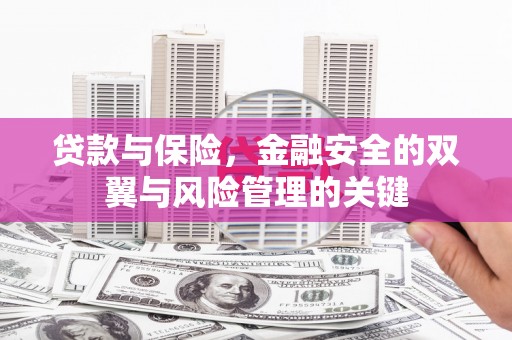 新店贷款与保险，金融安全的双翼与风险管理的关键