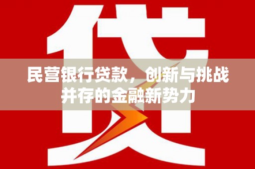 新店民营银行贷款，创新与挑战并存的金融新势力