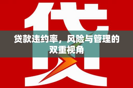 新店贷款违约率，风险与管理的双重视角