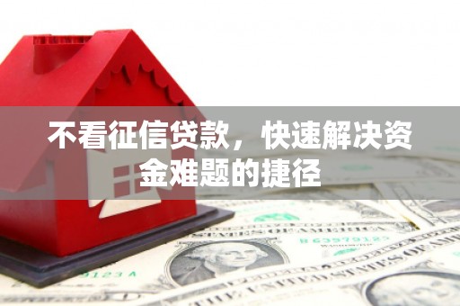 新店不看征信贷款，快速解决资金难题的捷径