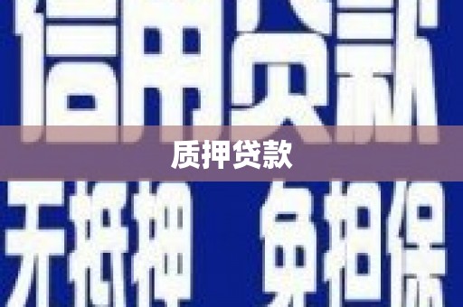 新店质押贷款