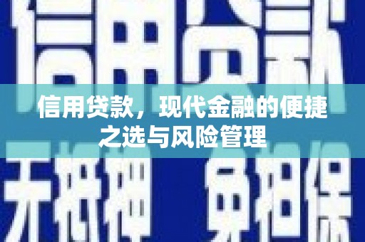 新店信用贷款，现代金融的便捷之选与风险管理