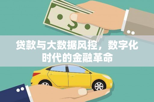 新店贷款与大数据风控，数字化时代的金融革命
