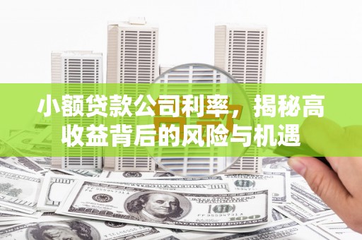 新店小额贷款公司利率，揭秘高收益背后的风险与机遇