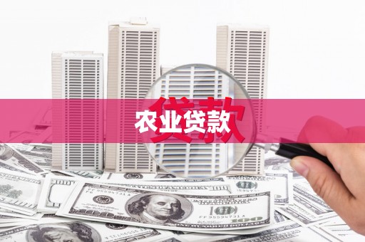 新店农业贷款