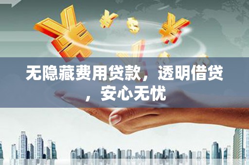 新店无隐藏费用贷款，透明借贷，安心无忧