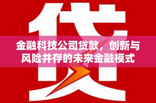 新店金融科技公司贷款，创新与风险并存的未来金融模式