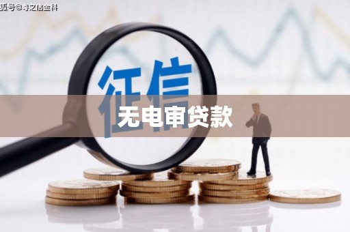新店无电审贷款
