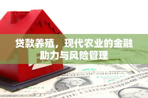新店贷款养殖，现代农业的金融助力与风险管理