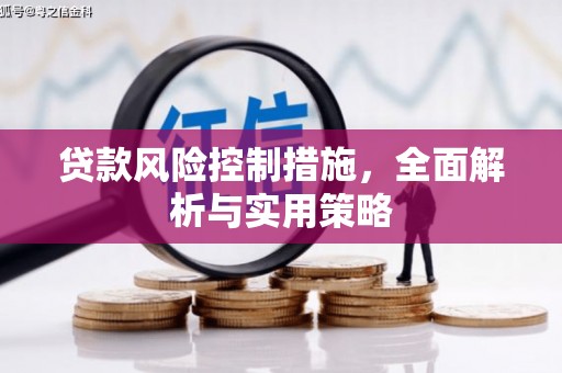 新店贷款风险控制措施，全面解析与实用策略