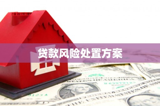 新店贷款风险处置方案