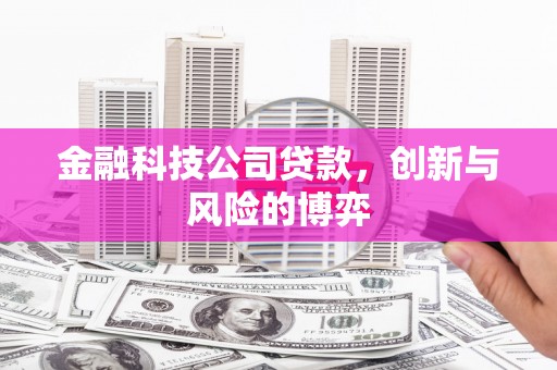 新店金融科技公司贷款，创新与风险的博弈