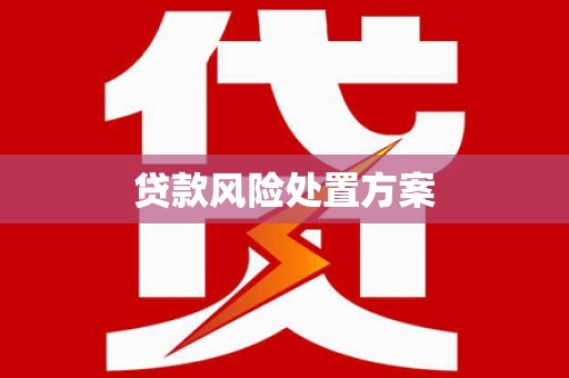 新店贷款风险处置方案