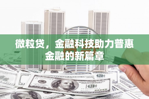 新店微粒贷，金融科技助力普惠金融的新篇章