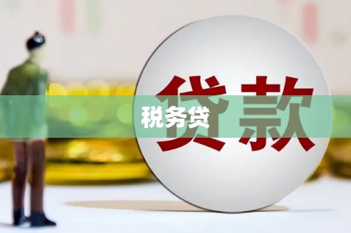 新店税务贷