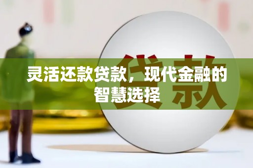 新店灵活还款贷款，现代金融的智慧选择