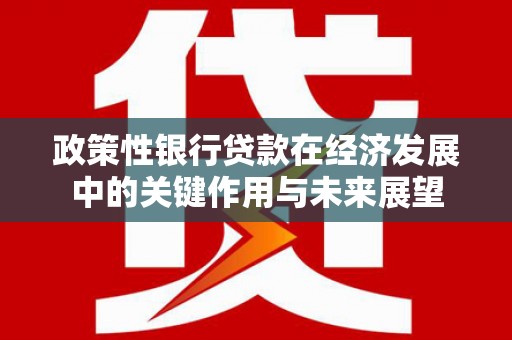 新店政策性银行贷款在经济发展中的关键作用与未来展望
