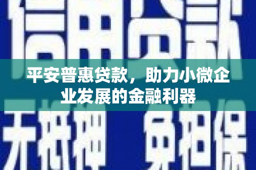新店平安普惠贷款，助力小微企业发展的金融利器