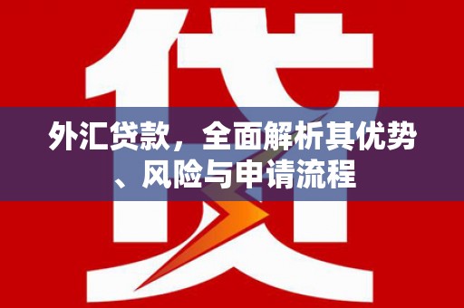 新店外汇贷款，全面解析其优势、风险与申请流程