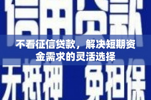 新店不看征信贷款，解决短期资金需求的灵活选择