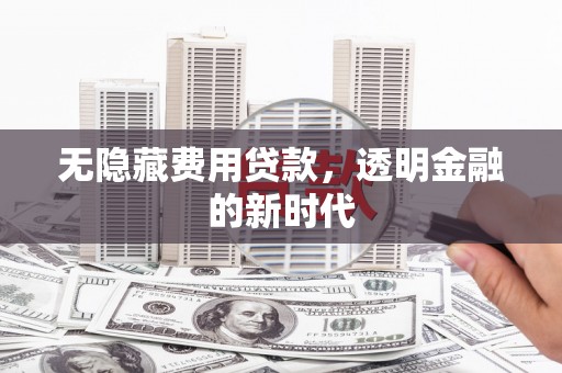 新店无隐藏费用贷款，透明金融的新时代
