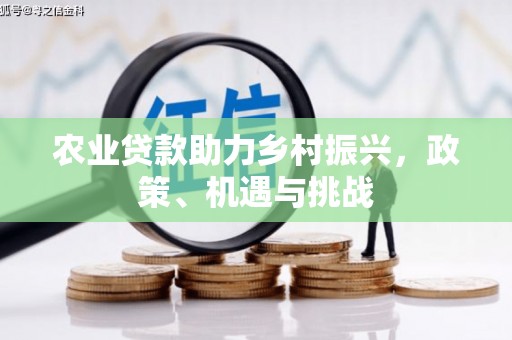 新店农业贷款助力乡村振兴，政策、机遇与挑战