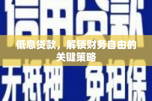 新店低息贷款，解锁财务自由的关键策略