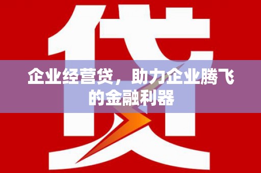 新店企业经营贷，助力企业腾飞的金融利器