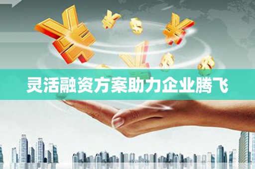 新店灵活融资方案助力企业腾飞