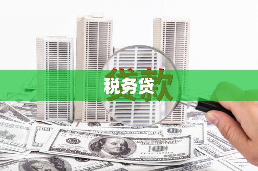 新店税务贷