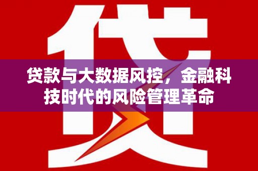新店贷款与大数据风控，金融科技时代的风险管理革命