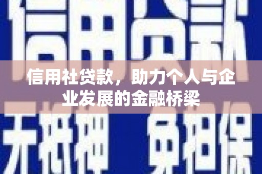 新店信用社贷款，助力个人与企业发展的金融桥梁