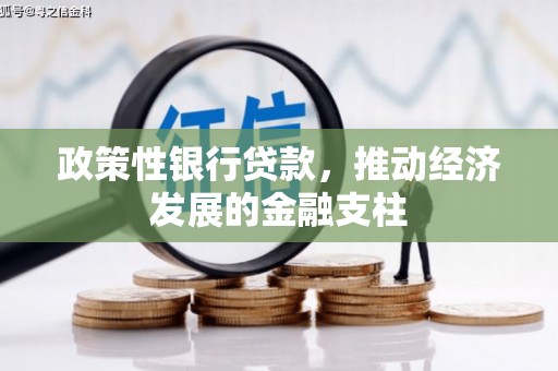 新店政策性银行贷款，推动经济发展的金融支柱