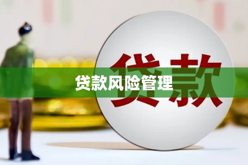 新店贷款风险管理