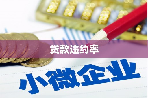 新店贷款违约率