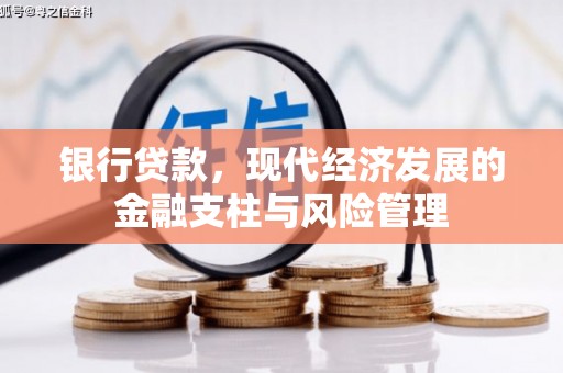 新店银行贷款，现代经济发展的金融支柱与风险管理