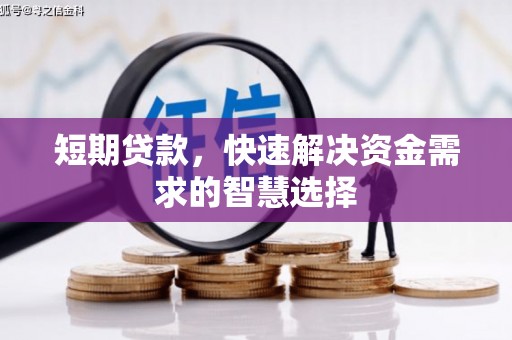 新店短期贷款，快速解决资金需求的智慧选择