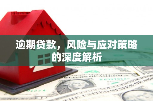 新店逾期贷款，风险与应对策略的深度解析