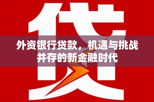 新店外资银行贷款，机遇与挑战并存的新金融时代