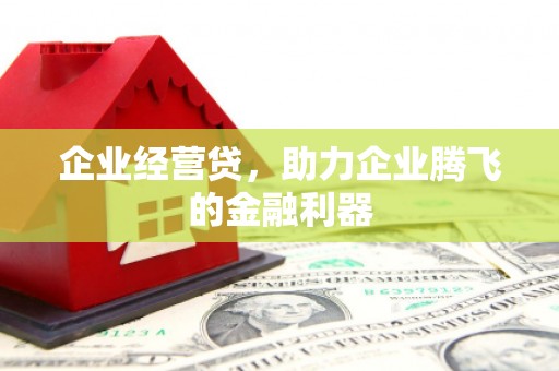 新店企业经营贷，助力企业腾飞的金融利器