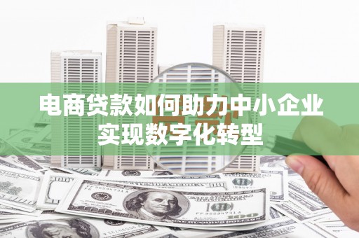 新店电商贷款如何助力中小企业实现数字化转型