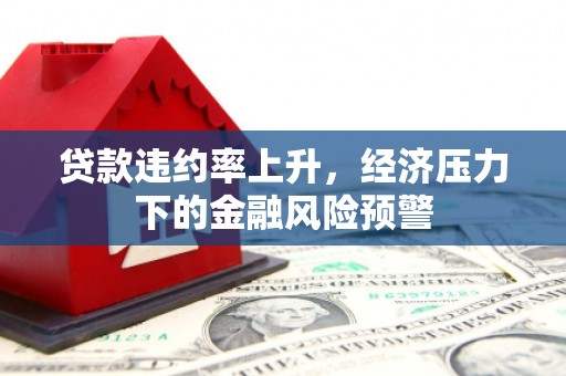新店贷款违约率上升，经济压力下的金融风险预警