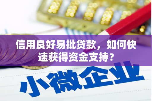 新店信用良好易批贷款，如何快速获得资金支持？