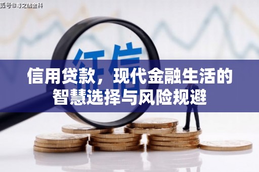 新店信用贷款，现代金融生活的智慧选择与风险规避